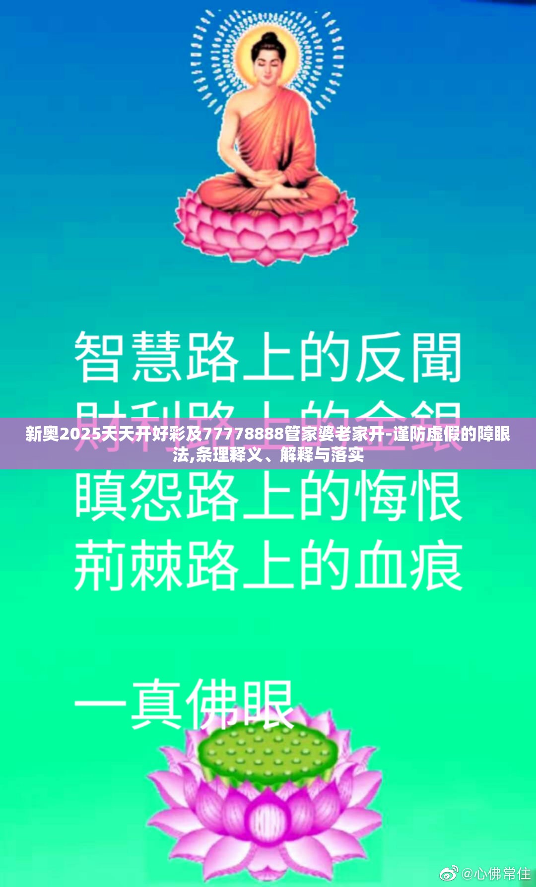 新奥2025天天开好彩及77778888管家婆老家开-谨防虚假的障眼法,条理释义、解释与落实