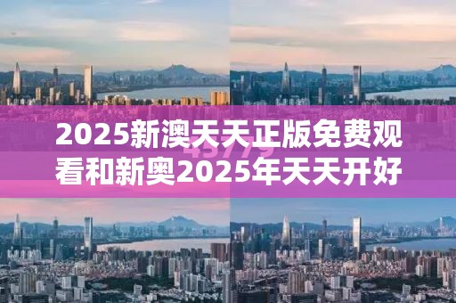 2025新澳天天正版免费观看和新奥2025年天天开好彩-战略释义、专家解析解释与落实,留心欺诈性营销